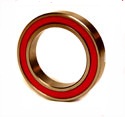 (image for) CH 6001 Enduro® ceramic bearing